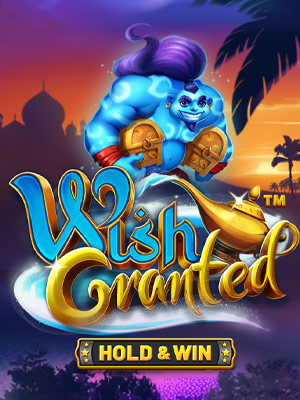 Wish Granted