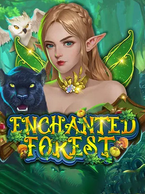 Enchanted Forest