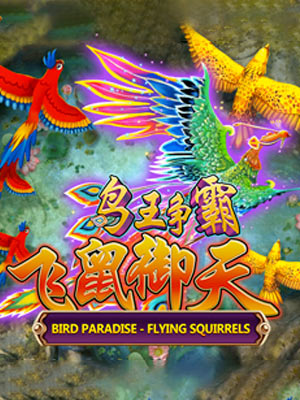 Bird Paradise