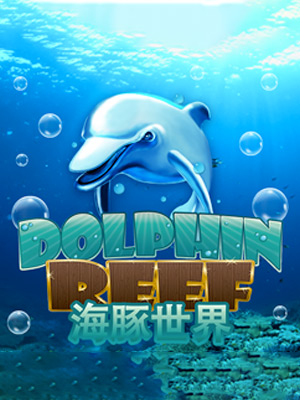 Dolphin Reef