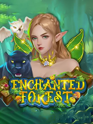 Enchanted Forest