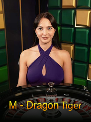 M Dragon Tiger